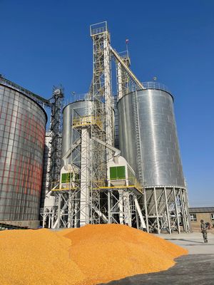 Capacité de manutention 100-1000 T/D Sécheuse de maïs Durable de qualité industrielle Pour le processus de séchage du maïs