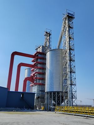 Efficacité de séchage Construit pour durer Machine de séchage de maïs de qualité industrielle Matériaux ignifuges pour un séchage optimal et sûr