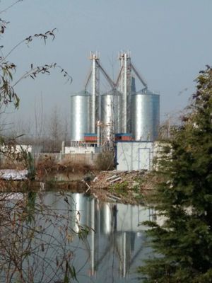 Machine de séchage du riz température réglable pour le séchage sans moisissure de différentes variétés de riz