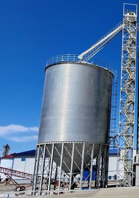 Solutions sur mesure Conditions du site pour les silos à grains d'acier Efficacité de l'espace et rentabilité
