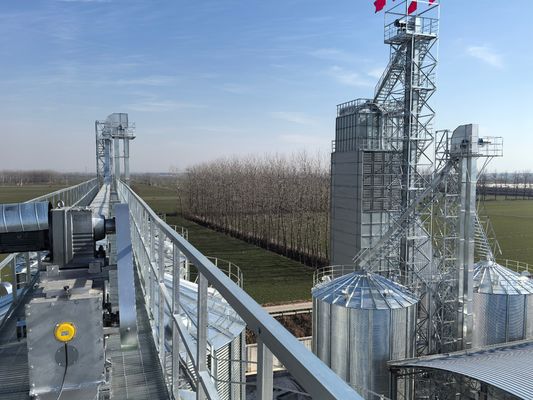 Séchoir à riz économe en énergie avec une température de séchage de 50 à 80 °C et une consommation de chaleur de 4500 à 6700 kJ/kg
