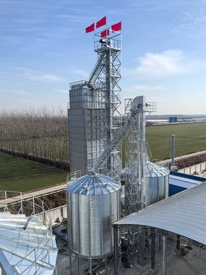 600 tonnes de riz de machine de dessiccateur, double économie de combustible centrifuge de système de séchage de paddy