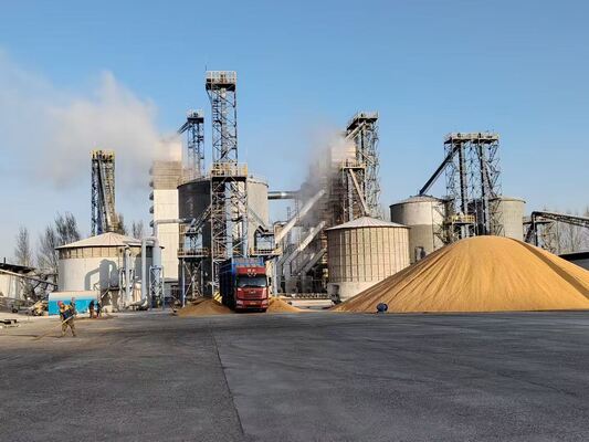Un séchage doux à basse température préserve la qualité supérieure du grain.