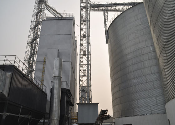 Clean Hot Blast Paddy Dryer Machine Appui complet et solutions évolutives pour le fonctionnement mondial des petites exploitations